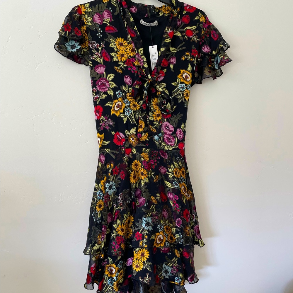 Alice and Olivia Spring Mini
